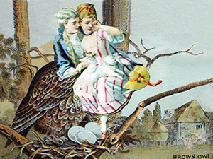 Fantasy Art Painting titled Owls Nest.  Click on the image to see a full frame image and a more extensive description
