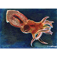 Fantasy Art Painting titled Strawberry Squid.   Click on the image to see a full frame image and a more extensive description
