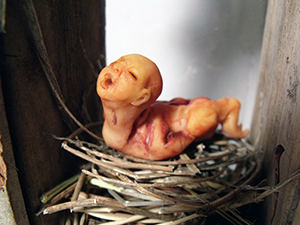 Sculpyure of an Anthropomorphic Baby Bird with a human head in a nest