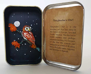 Altoid Box Sculpture of Tengmalms Owl